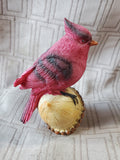 Resin Cardinal on Acorn Figurine