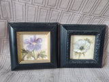 Pair of Small Framed Flower Prints