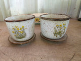 Small Planter Lot