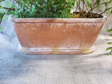 Faux Greenery Arrangement in Oblong Planter