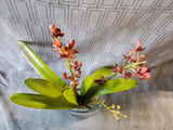 Faux Orchid Arrangement in Clear Glass Vase