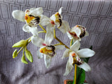 Faux Orchid Plant