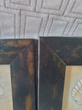 Lot of 3 Small Framed Seashell Prints