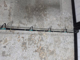 Penn 50TW International II Reel w/6' Fiberglass Rod (E)