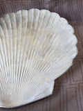 Capiz Shell Trinket Tray