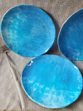 Set of 5 222 Fifth Blue Melamine Dinner Plates