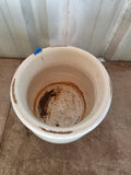 D-Italian Style Glazed Pottery Planter