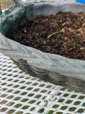 Basket Style Resin Planter w/Dirt
