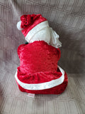 Stuffed Santa Doll