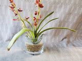 Faux Orchid Arrangement in Clear Glass Vase