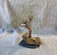 Signed Metal Wire Bonsai Tree Sculpture