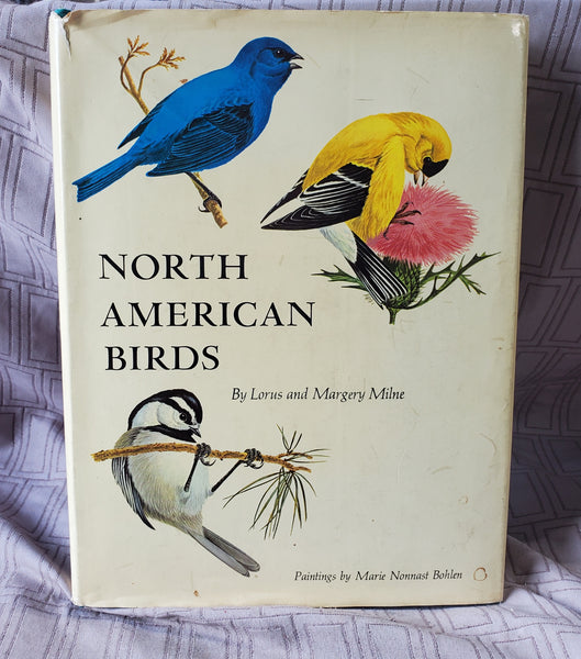 North American Birds Book