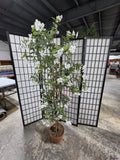 6' Faux Blooming Dogwood Tree in Pot