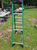 Werner 6' Fiberglass Ladder