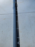 iSun Adjustable Trekking Pole