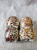 Set of 4 Tiger Cowrie Napkin Rings