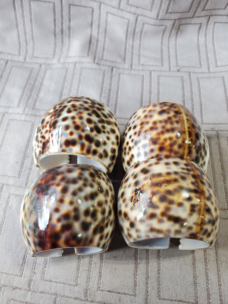Set of 4 Tiger Cowrie Napkin Rings