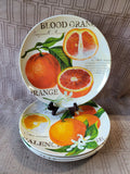 Set of 4 Pier 1 Citrus Fruit Salad Melamine Plates