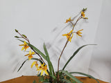 Faux Yellow Orchid Arrangement
