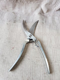 Saneli Stainless Steel Poultry Shears