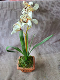 Faux Orchid Plant