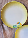 Set of 6 Melamine Beach Themed Dinner Plates and Bowls