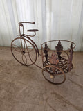 Rustic Metal Bicycle Plant Holder