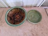 Green Glazed Terracotta Planter w/Saucer