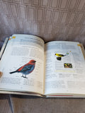 National Audubon Society North American Birdfeeder Handbook