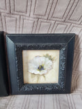 Pair of Small Framed Flower Prints