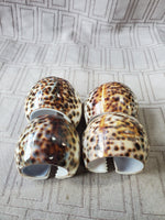 Set of 4 Tiger Cowrie Napkin Rings