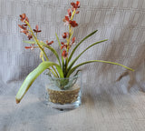 Faux Orchid Arrangement in Clear Glass Vase