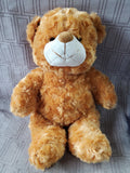 Pair of Stuffed Animals