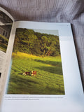 Greater Springfield Coffee Table Book