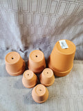Assorted Lot of Terracotta Planters