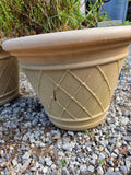 Pair of Plastic Planters w/Live Plants