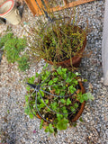 Pair of Plastic/Styrofoam Pots with Decorative Metal Plant Supports (B)