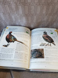 National Audubon Society North American Birdfeeder Handbook