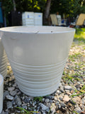 Trio of White Glazed Terracotta Decorative Planters