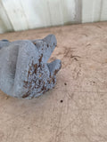 Plastic/Resin Dog Garden Statue