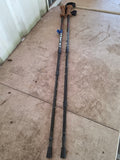 Pair of Alpine Design Adjustable Walking Sticks