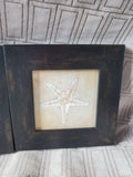 Lot of 3 Small Framed Seashell Prints