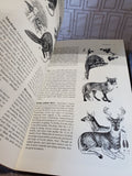 Lot of Nature Books