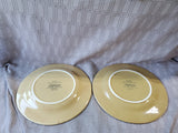 Pair of Debby Segura Sorrento Stoneware Yellow Dinner Plates (B)
