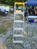 6' Aluminum Ladder