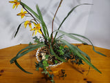 Faux Yellow Orchid Arrangement