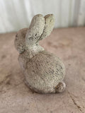 Medium Cement Bunny Garden Statue