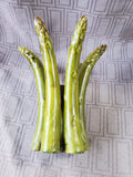 Ceramic Asparagus Tea Light Candle Holder