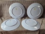 Set of 4 Americana Plastic Dinner Plates