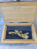 (B) Crystallized Gold of Farncomb Hill Replica